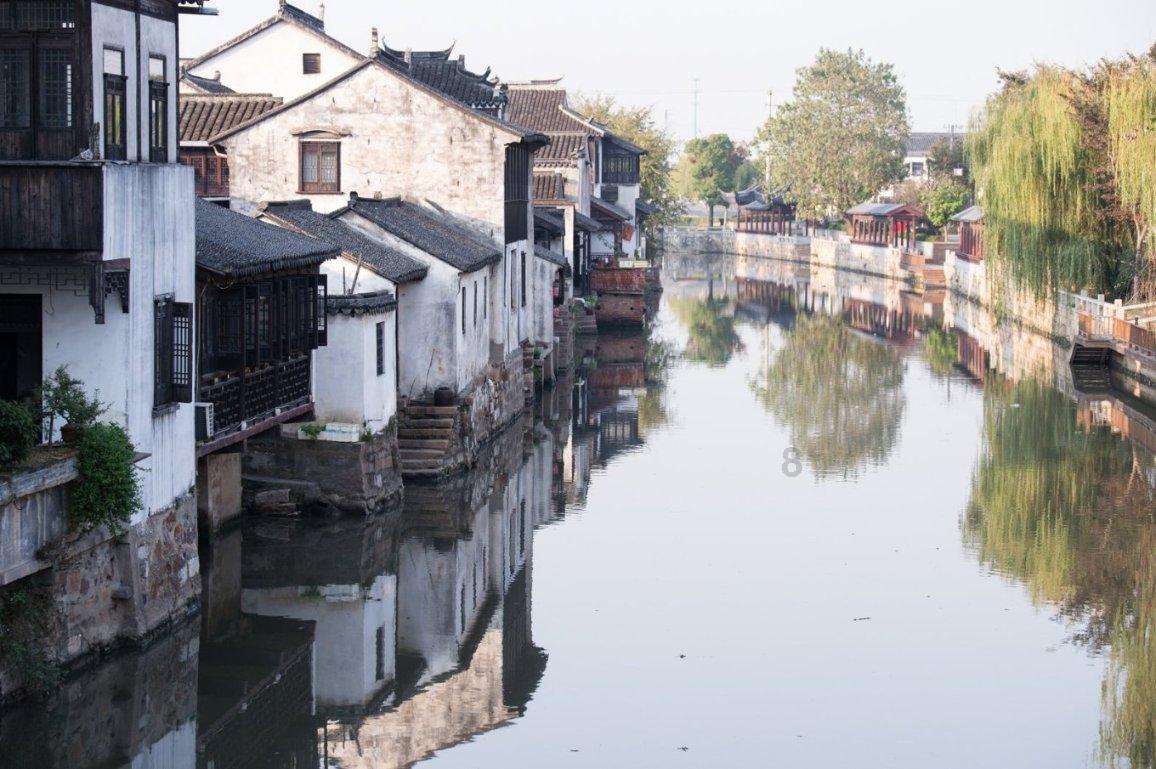 枣庄市卫健委副主任王晶到市中区走访慰问百岁老人
